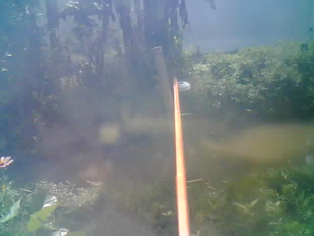 Tangkapan Kamera IoT - 1 April 2026